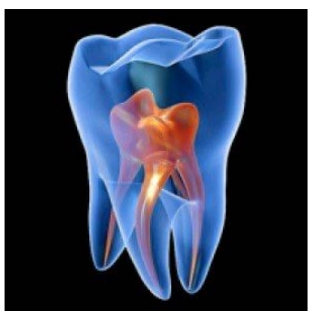 Captura de pantalla 2025-12-31 141148