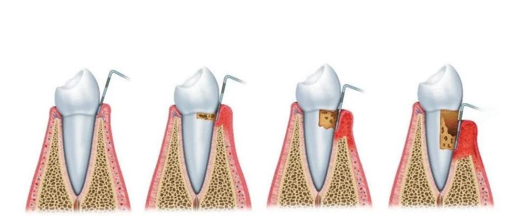 Captura de pantalla 2025-12-31 143557