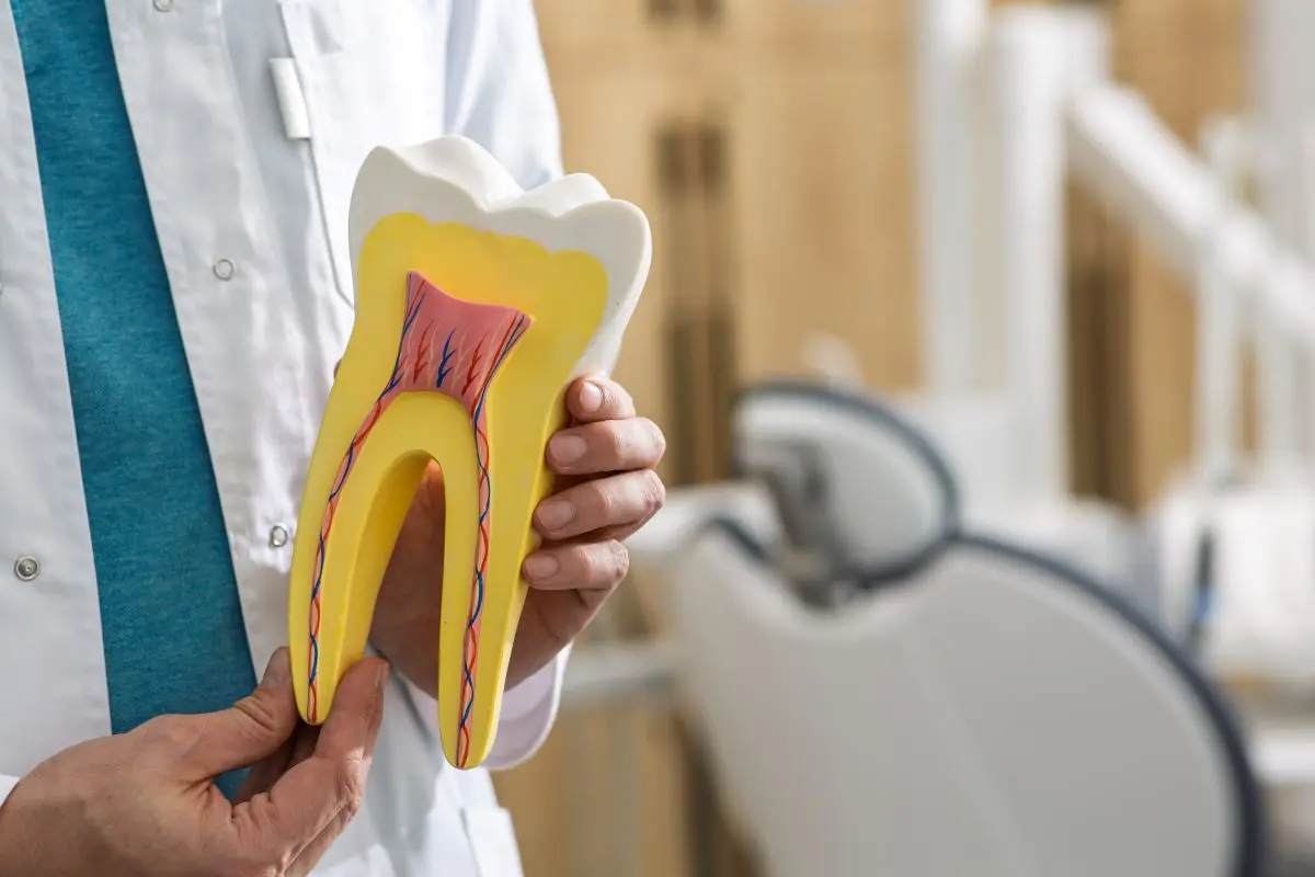 Dentista explicando tratamiento dental personalizado en Beas de Granada